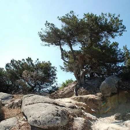Felix - Galanias & Retreat Bari Sardo